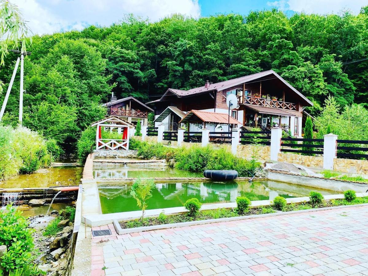 Chalet Vedmezhe Poljana Exterior foto