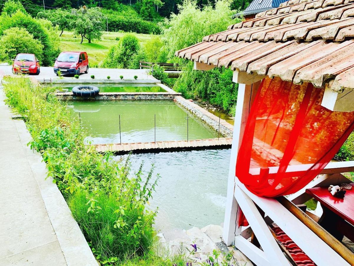 Chalet Vedmezhe Poljana Exterior foto